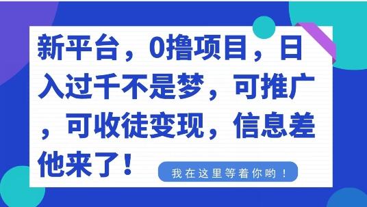 不要再花冤枉钱了，0撸项目，每天坚持，稳定1000+-小艾项目网