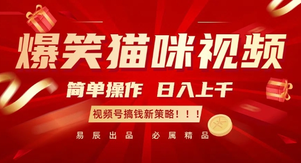 爆笑猫咪视频：简单操作，日入过K，视频号搞钱新策略【揭秘】-小艾项目网