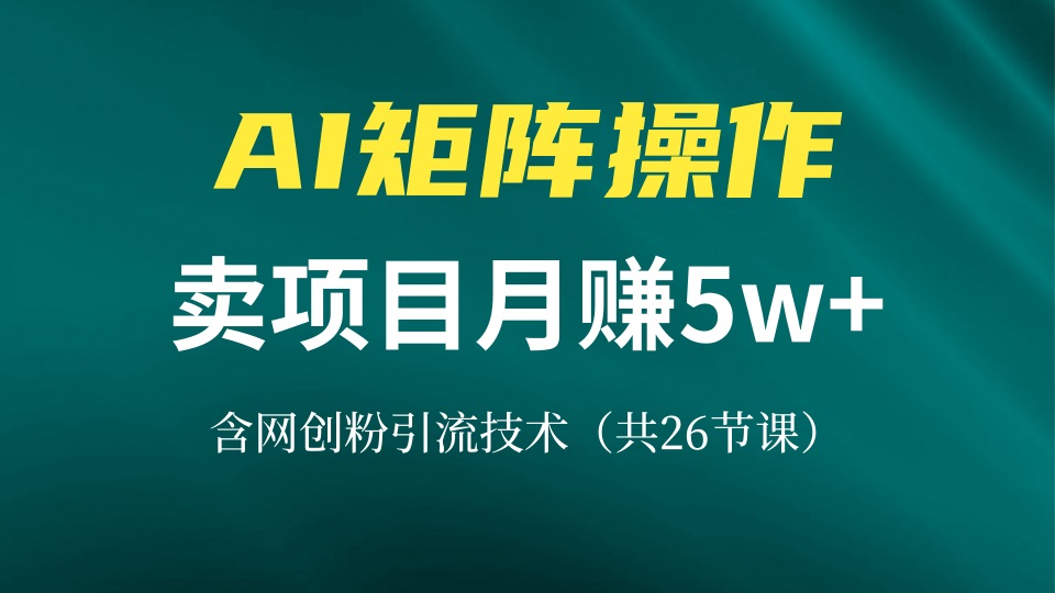 网创IP打造课，借助AI卖项目月赚5万+，含引流技术(共26节课-小艾项目网
