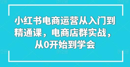 小红书电商运营从入门到精通课，电商店群实战，从0开始到学会-小艾项目网