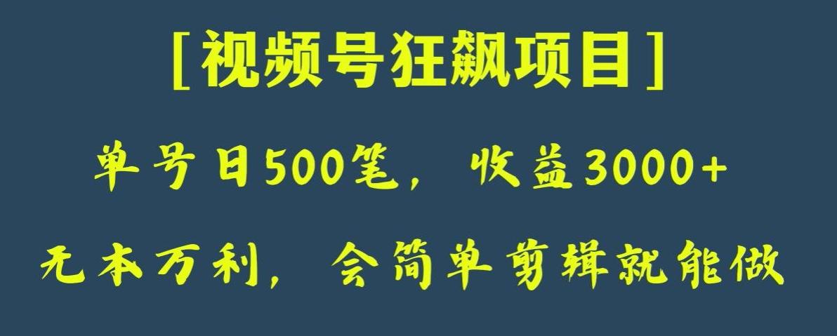 日收款500笔，纯利润3000+，视频号狂飙项目，会简单剪辑就能做【揭秘】-小艾项目网