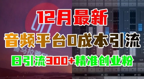 12月最新：音频平台0成本引流，日引流300+精准创业粉-小艾项目网