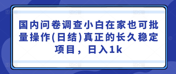 国内问卷调查小白在家也可批量操作(日结)真正的长久稳定项目，日入1k【揭秘】-小艾项目网
