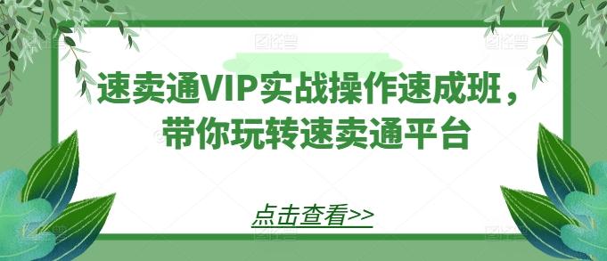 速卖通VIP实战操作速成班，带你玩转速卖通平台-小艾项目网