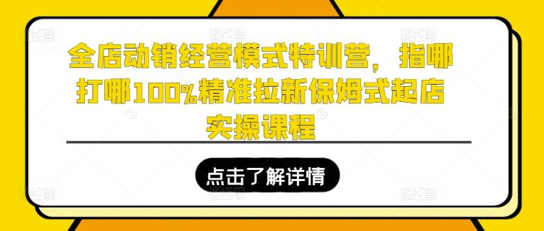 全店动销经营模式特训营，指哪打哪100%精准拉新保姆式起店实操课程-小艾项目网