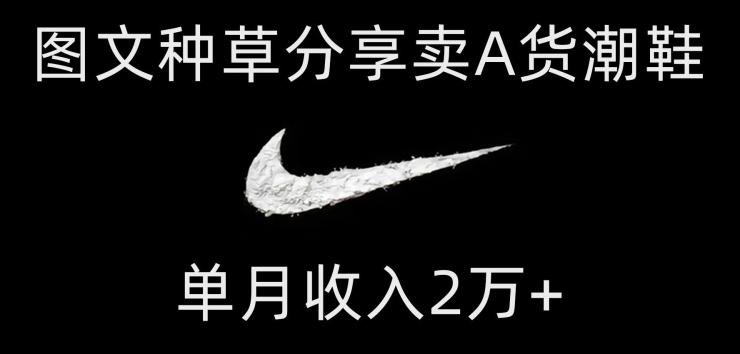 靠图文种草分享卖A货潮鞋，每天一小时，单月收入2万+【揭秘】-小艾项目网