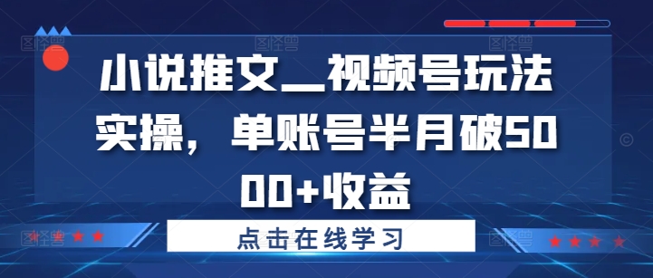 小说推文—视频号玩法实操，单账号半月破5000+收益-小艾项目网