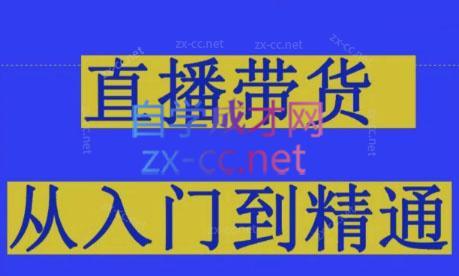 东哥·2024抖音直播带货直播间拆解-小艾项目网