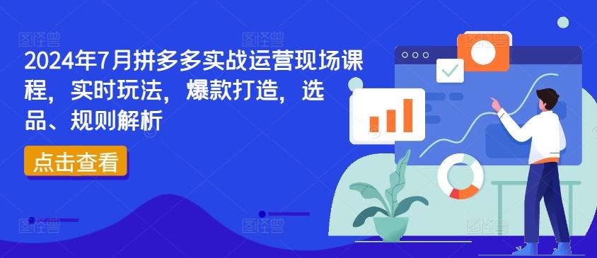 2024年7月拼多多实战运营现场课程，实时玩法，爆款打造，选品、规则解析-小艾项目网