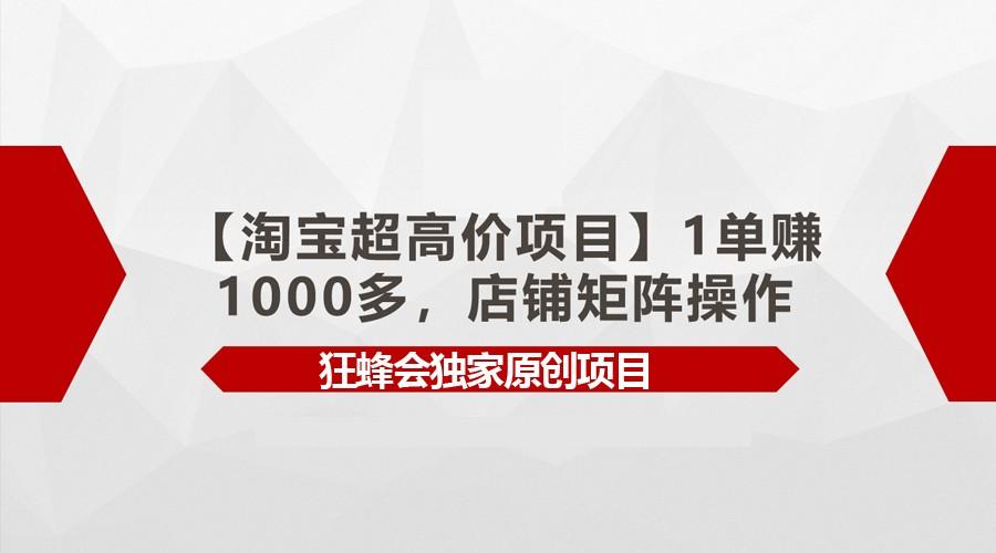 【淘宝超高价项目】1单赚1000多，店铺矩阵操作-小艾项目网