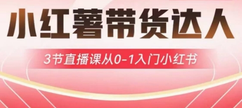 小红薯达人带货启航计划，3节直播课从0-1入门小红书-小艾项目网