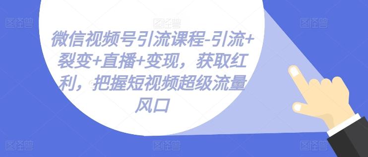 微信视频号引流课程-引流+裂变+直播+变现，获取红利，把握短视频超级流量风口-小艾项目网