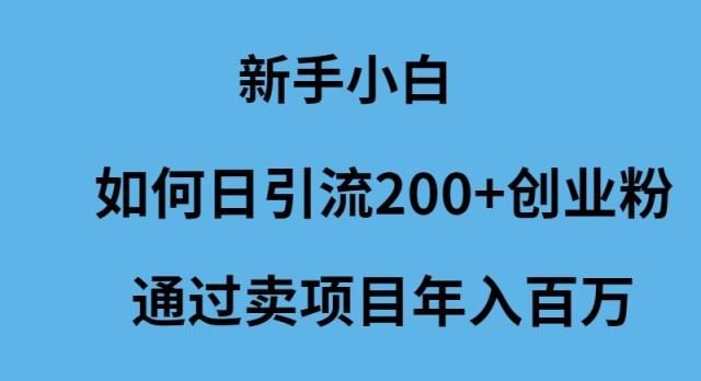 (9668期)新手小白如何日引流200+创业粉通过卖项目年入百万-小艾项目网