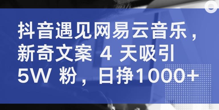 抖音遇见网易云音乐，新奇文案 4 天吸引 5W 粉，日挣1000+【揭秘】-小艾项目网