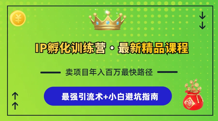 IP孵化训练营，知识付费全流程+最强引流术+小白避坑指南-小艾项目网