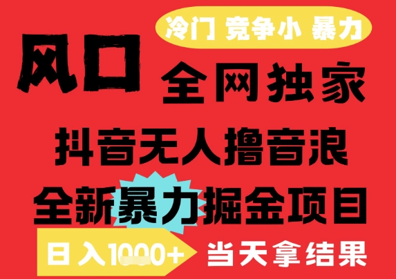 25年6月高爆抖音无人直播最新撸音浪掘金项目，解放双手小白可做，无脑日入1k+，门槛低【揭秘】-小艾项目网