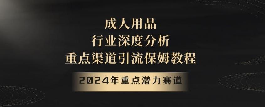 2024年重点潜力赛道，成人用品行业深度分析，重点渠道引流保姆教程【揭秘】-小艾项目网