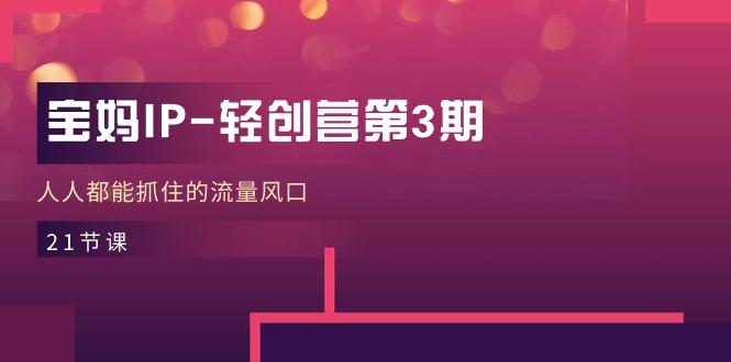 宝妈IP-轻创营第3期，人人都能抓住的流量风口(21节课-小艾项目网