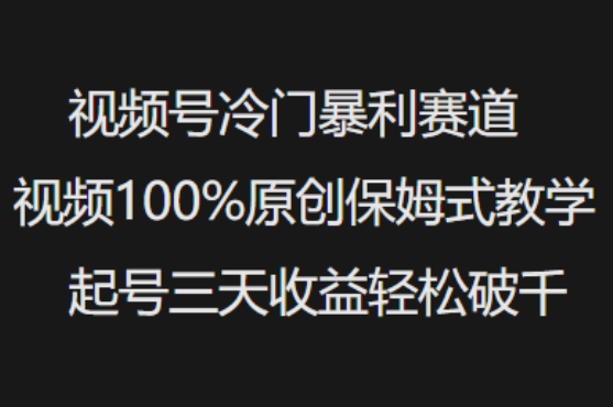 视频号冷门暴利赛道视频100%原创保姆式教学起号三天收益轻松破千-小艾项目网