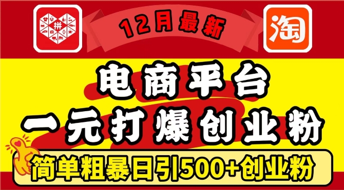 12月最新：电商平台1元打爆创业粉，简单粗暴日引500+精准创业粉，轻松月入过W【揭秘】-小艾项目网