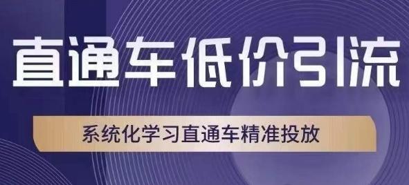 直通车低价引流课，系统化学习直通车精准投放-小艾项目网