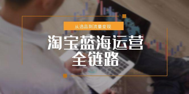 淘宝蓝海运营全链路，从选品到流量变现，小类目突围完整方案-小艾项目网