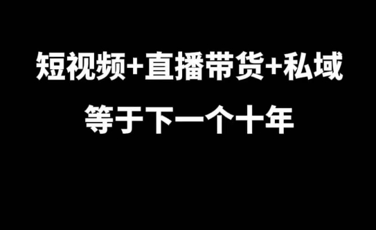 短视频+直播带货+私域等于下一个十年，大佬7年实战经验总结-小艾项目网