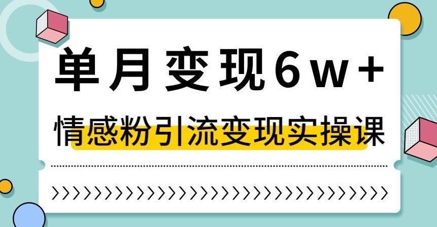 单月变现6W+，抖音情感粉引流变现实操课，小白可做，轻松上手，独家赛道【揭秘】-小艾项目网