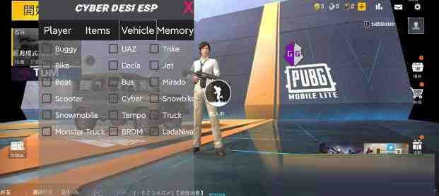 PUBG轻量老外裸奔绘制+自瞄 支持ROOT和框架 里面有全局离线-小艾项目网