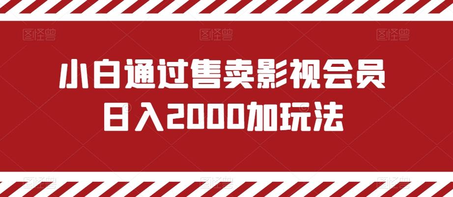 小白通过售卖影视会员日入2000加玩法-小艾项目网