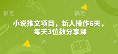 小说推文项目，新人操作6天，每天3位数分享课-小艾项目网