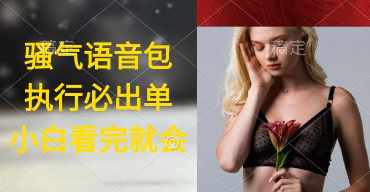 (9589期)执行就出单，日入2000+，超火骚气语音包，小白看完课程就能马上实操-小艾项目网