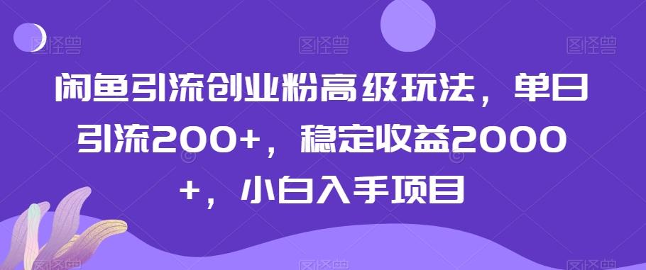 闲鱼引流创业粉高级玩法，单日引流200+，稳定收益2000+，小白入手项目-小艾项目网