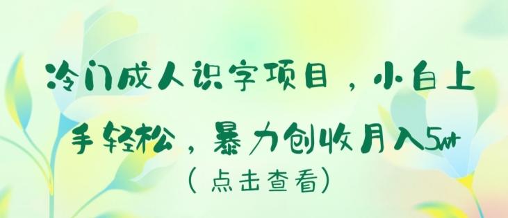 冷门成人识字项目，小白上手轻松，暴力创收月入5w+【揭秘】-小艾项目网