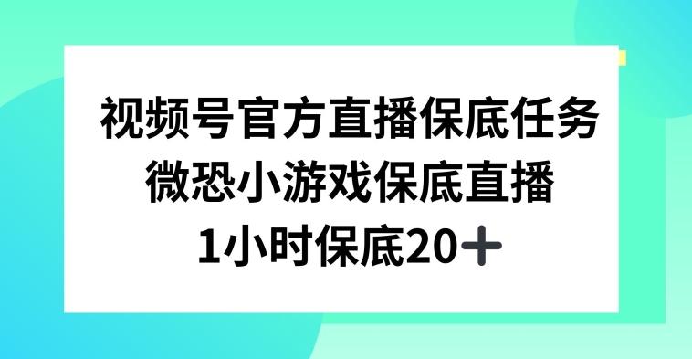 视频号直播任务，微恐小游戏，1小时20+【揭秘】-小艾项目网