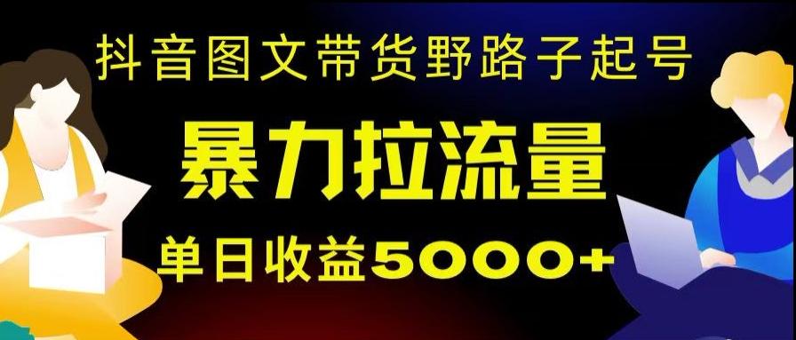 抖音图文带货暴力起号，单日收益5000+，野路子玩法，简单易上手，一部手机即可【揭秘】-小艾项目网