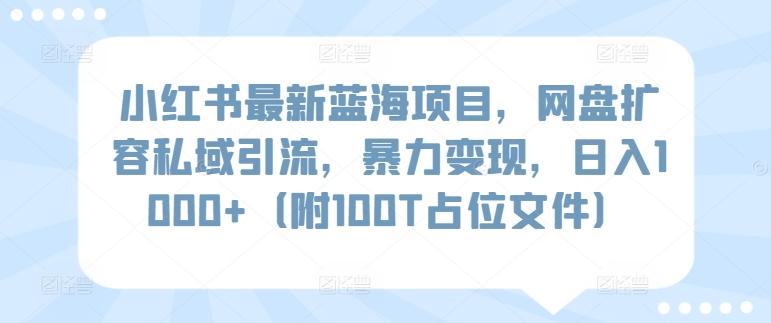 小红书最新蓝海项目，网盘扩容私域引流，暴力变现，日入1000+(附100T占位文件)【揭秘】-小艾项目网