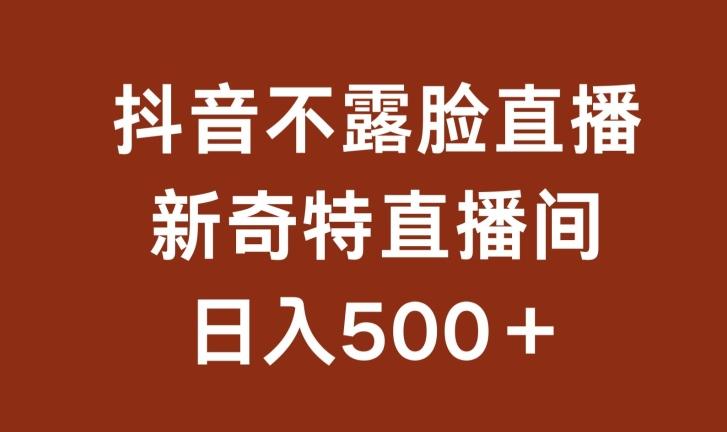 不露脸挂机直播，新奇特直播间，日入500+【揭秘】-小艾项目网