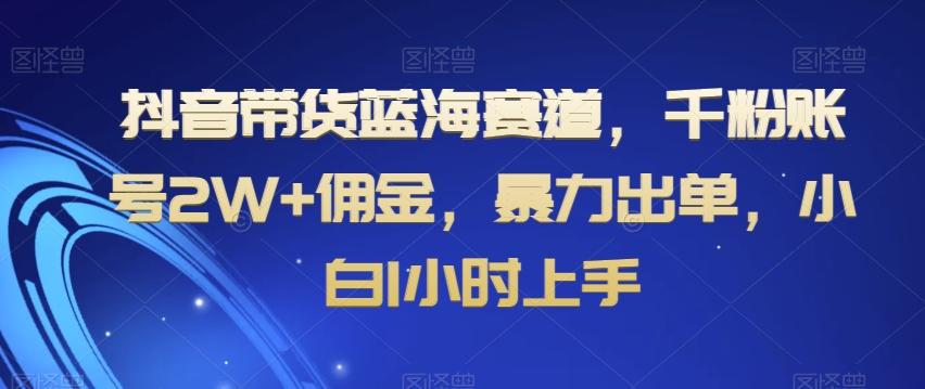 抖音带货蓝海赛道，千粉账号2W+佣金，暴力出单，小白1小时上手【揭秘】-小艾项目网