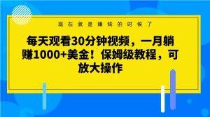 每天观看30分钟视频，一月躺赚1000+美金！保姆级教程，可放大操作【揭秘】-小艾项目网