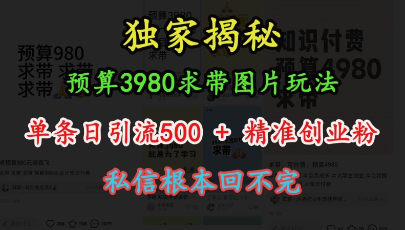 预算3980求带 图片玩法，单条日引流500+精准创业粉，私信根本回不完-小艾项目网
