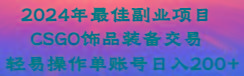 2024年最佳副业项目 CSGO饰品装备交易 轻易操作单账号日入200+-小艾项目网