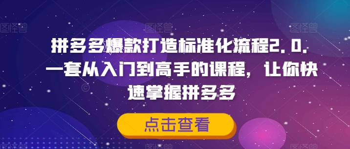 拼多多爆款打造标准化流程2.0，一套从入门到高手的课程，让你快速掌握拼多多-小艾项目网