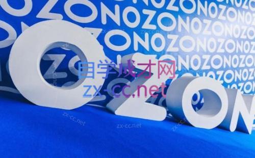 森哥·出海俄罗斯电商实操(2024)-小艾项目网