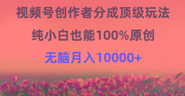(9608期)视频号创作者分成顶级玩法，纯小白也能100%原创，无脑月入10000+-小艾项目网
