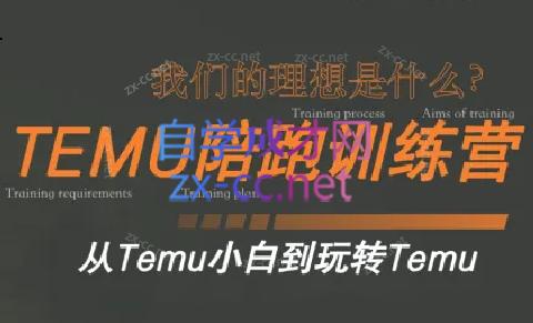 苗苗·拼多多跨境（temu）课程-小艾项目网