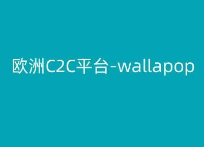欧洲C2C平台-wallapop-kim跨境电商教程-小艾项目网