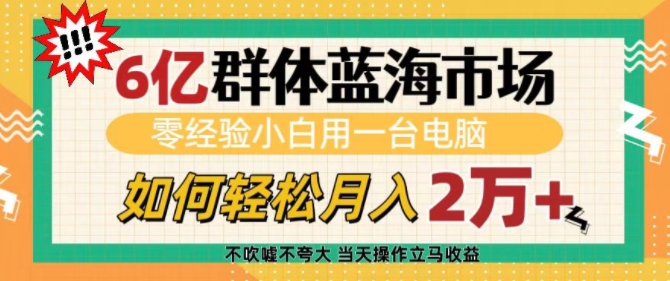 6亿群体蓝海市场，零经验小白用一台电脑，如何轻松月入过w【揭秘】-小艾项目网