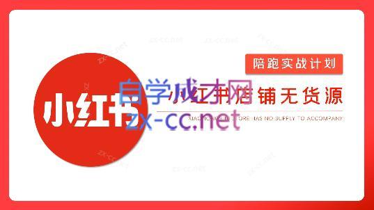 安琪·小红书店铺无货源-小艾项目网