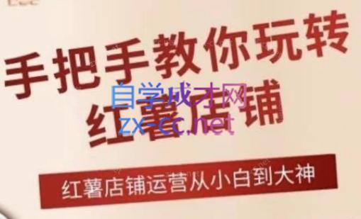 海燕老师·2024手把手教你玩转红薯店铺-小艾项目网